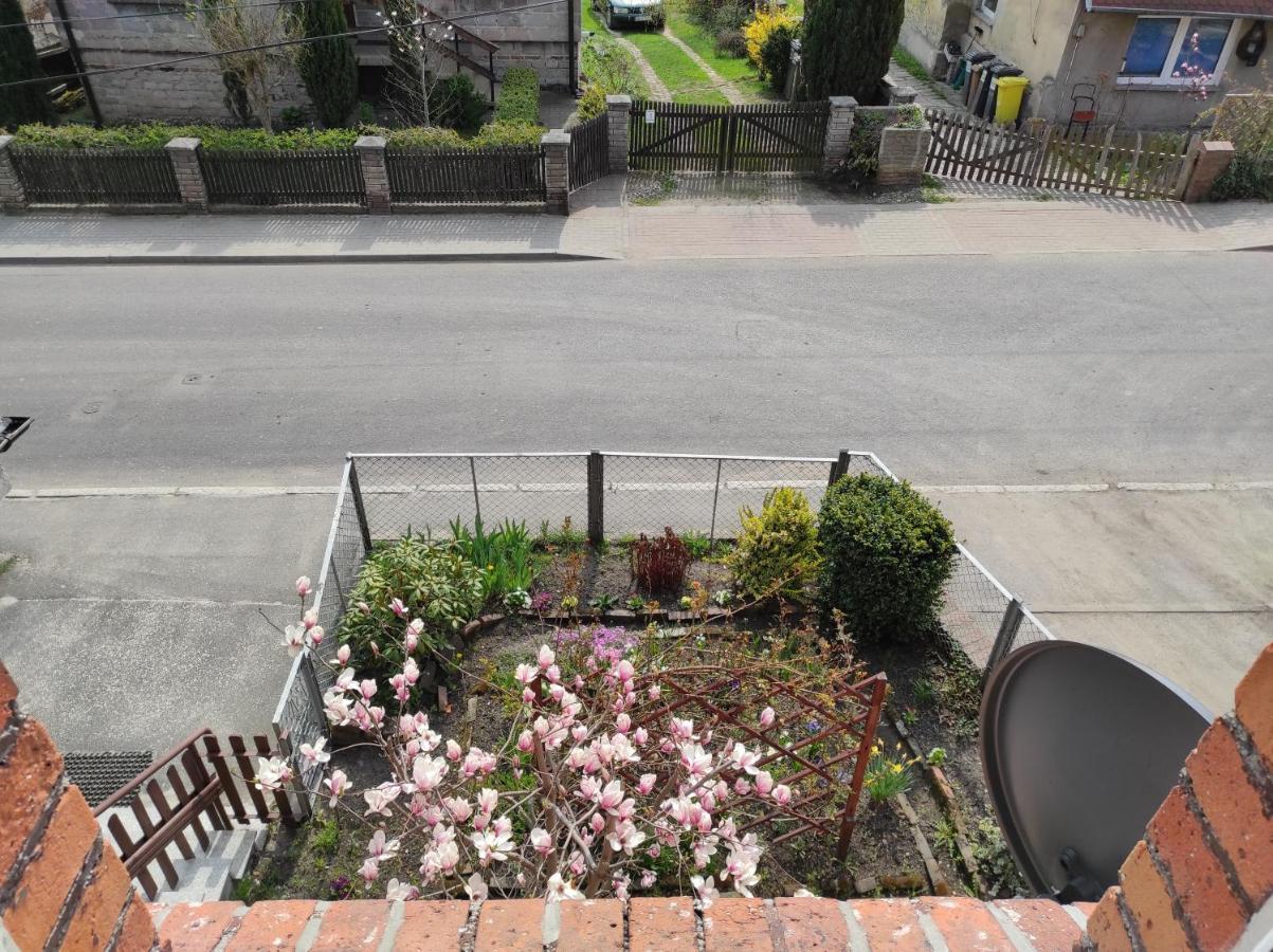 Apartament Pod Jalowcem Gory Sowie 533-543-732 Jedlina-Zdroj Esterno foto