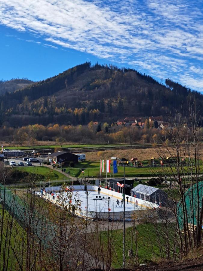 Apartament Pod Jalowcem Gory Sowie 533-543-732 Jedlina-Zdroj Esterno foto
